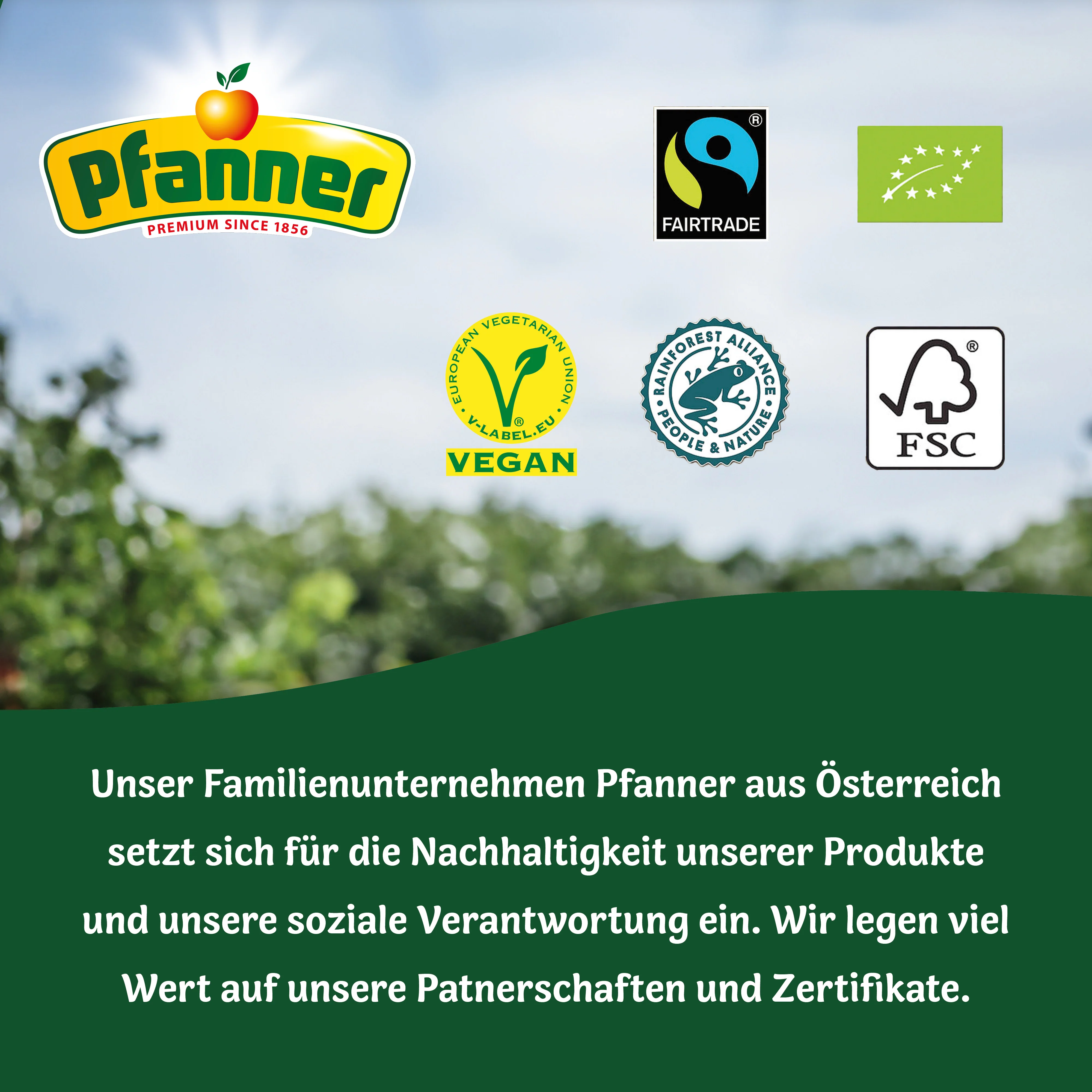 Pfanner Eistee Wassermelone Limited Edition - 6x2L - Image 7